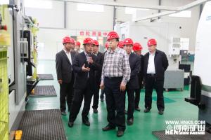 河南省人大常委会委员王国振调研**制造业建设